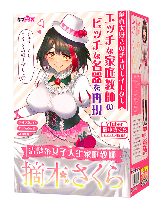 清楚系女子大生家庭教師 摘木さくら